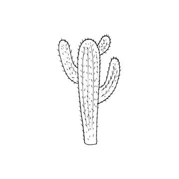 Hand-drawn cactus drawing in doodle style. Vector Illustration. cacti with .. Stock Illustration