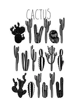 Hand drawn cactus Illustrazione stock