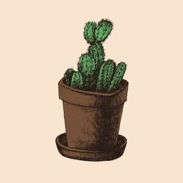Hand drawn cactus in the pot Stock Illustration