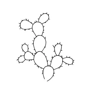 Hand drawn cactus on a white background Stock Illustration