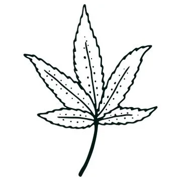 Hand drawn cannabis leaf isolated on white Stock Illustration