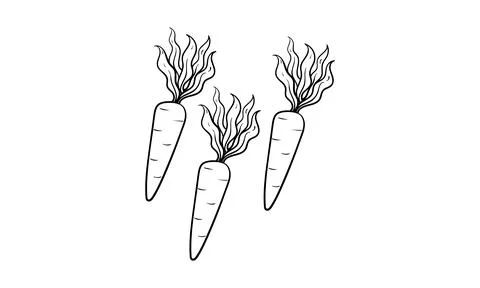 Hand drawn carrot Illustrazione stock