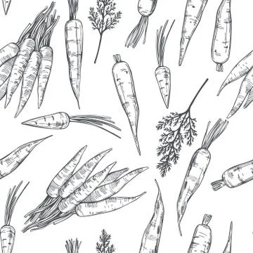 Hand drawn carrot .  Vector  pattern. Illustrazione stock