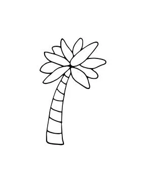 Hand-drawn cartoon palm tree Stock Illustration