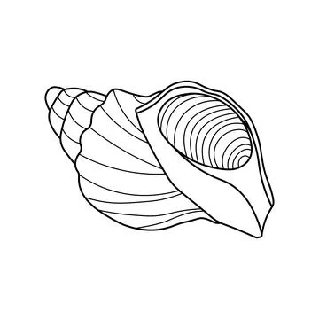 Hand drawn Cartoon Vector illustration seashell icon Isolated on White Back.. Stock Illustration