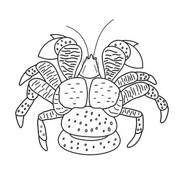 Hand drawn Cartoon Vector illustration coconut crab icon Isolated on White .. イラスト素材