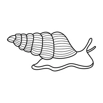 Hand drawn Cartoon Vector illustration sea snail icon Isolated on White Bac.. Stock Illustration