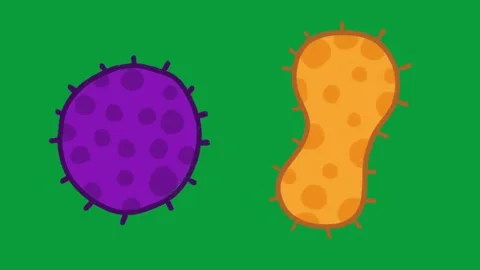 Hand Drawn Cartoon Virus Bacteria Microbe Icons 2D Animation Green Screen Stock-Footage 341798843
