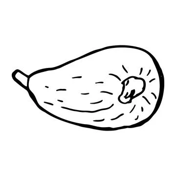Hand drawn cashew nut set. Vector illustration on white background. Stock Illustration