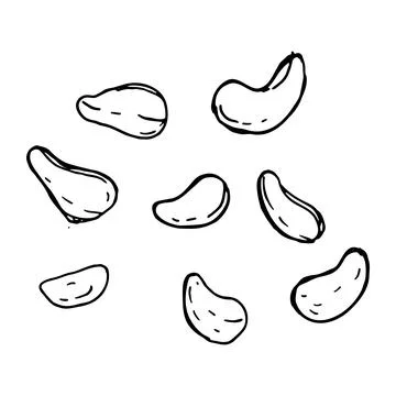 Hand drawn cashew nut set. Vintage vector illustrations of cashew. Stock Illustration