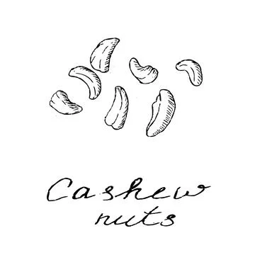Hand drawn cashew nuts background isolated Stock Illustration