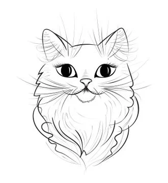 Hand Drawn Cat Illustrazione stock