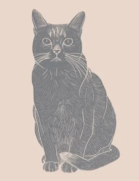 Hand drawn cat Stock Illustration