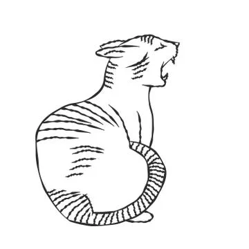 Hand drawn of a Cat-Vector Illustration Stock Illustration