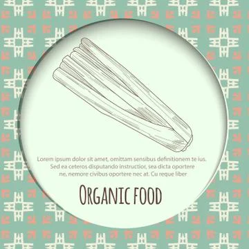 Hand drawn celery over white background Stock Illustration