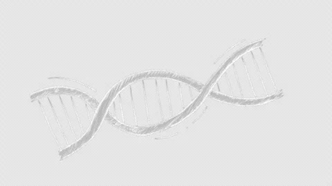 Hand drawn chalk DNA double helix model on blackboard Stock-Footage 334880418