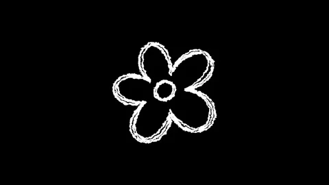 Hand drawn chalk flower doodle animation Stock Footage 330498902