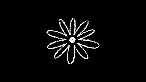 Hand drawn chalk flower doodle animation Stock Footage 330499544