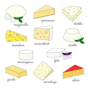Hand drawn cheese. Stock Illustration