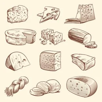 Hand drawn cheese. Various types of cheeses. Tasty brie, mozzarella and parmesan Stock Illustration
