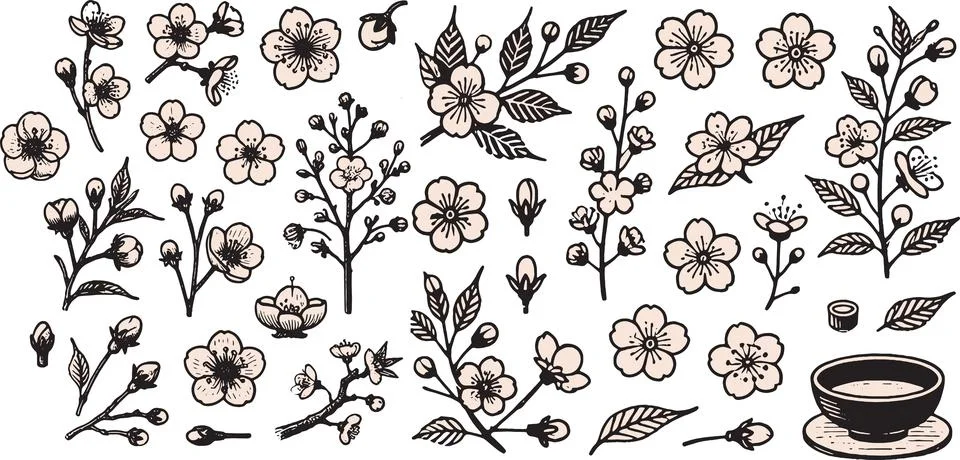 Hand drawn cherry blossom vector set with flowers branches buds leaves and tea Stock Illustration