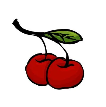 Hand drawn cherry illustration isolated on white background. Stock Illustration