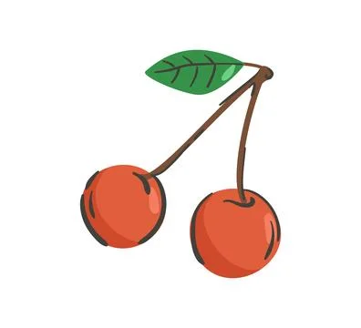 Hand drawn cherry isolated on a white background. Vector illustration. Colorf Stock Illustration