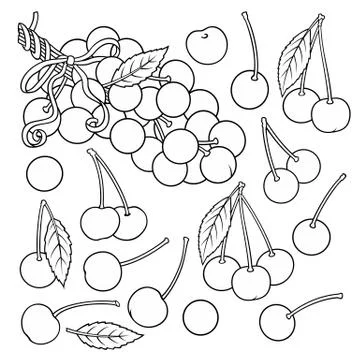 Hand drawn Cherry. Set of objects. Stock Illustration