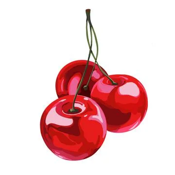 Hand drawn cherry. White isolated stock illustration. Stock Illustration