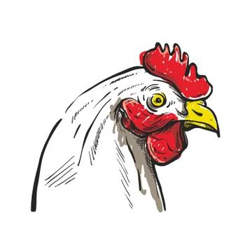 Hand-drawn chicken face Stock Illustration