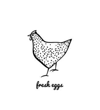 Hand drawn chicken Stock Illustration