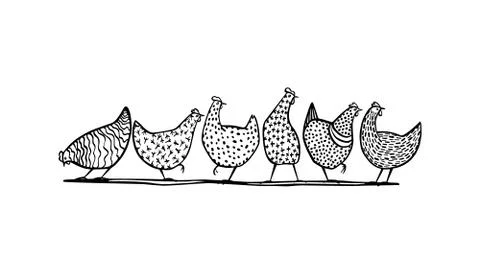 Hand drawn chickens Stock Illustration