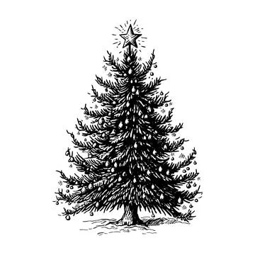 Hand drawn of christmas tree. Stock Illustration