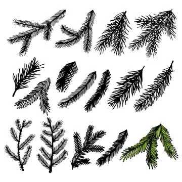Hand-drawn Christmas trees for winter and holiday illustrations. Stock Illustration