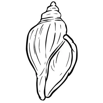 Hand drawn clipart illustration of seashell shell mollusc seaside shellfish Illustrazione stock
