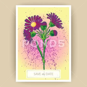 Hand drawn close-up Chrysanthemum flower artistic vector illustration. Botani Stock Illustration