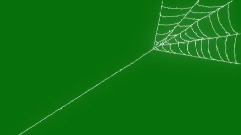 Hand Drawn Cobweb Unfolding from Corner for Halloween Chroma Key 4K Loop Stock Footage 347317645
