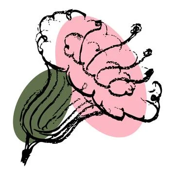 Hand Drawn Cockscomb with Pastel Circles Stock Illustration