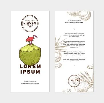 Hand drawn coconut Stock Illustration