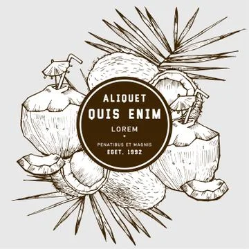 Hand drawn coconut Stock Illustration