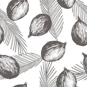 Hand drawn coconuts. Vector  seamless pattern 스톡 일러스트