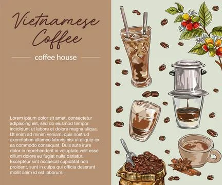 Hand drawn of coffee beans, coffee cups with vietnamese coffee drip. vector i Stock Illustration