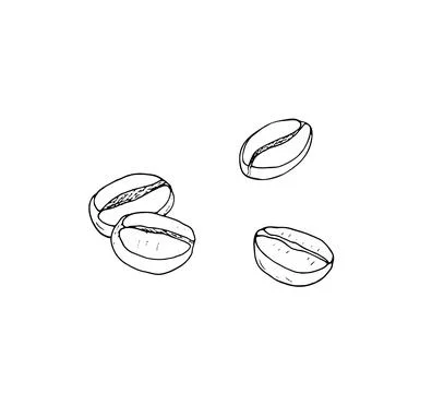 Hand-drawn coffee beans Stock Illustration