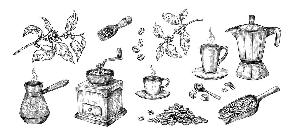 Hand drawn coffee process. Sketch of Arabica beans. Manual grinder and wooden Stock Illustration