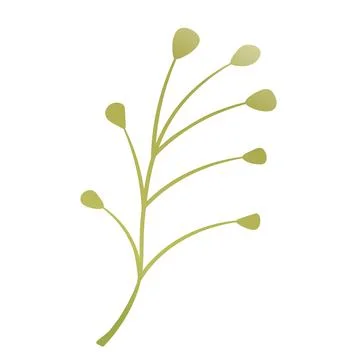 Hand drawn color leaf. Cute isolated element. Modern floral compositions. Tropic Illustrazione stock