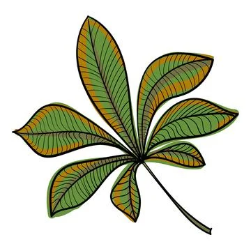 Hand drawn color vector chestnutleaf. Stock Illustration