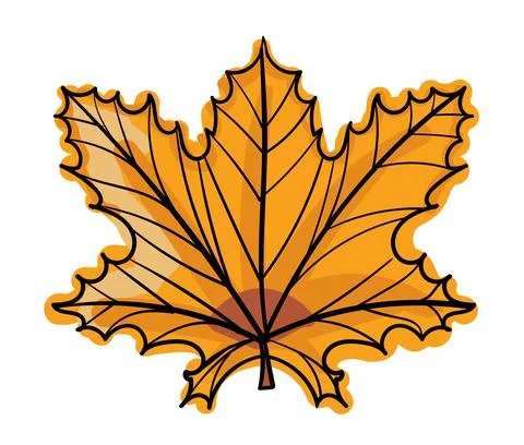 Hand drawn color vector Maple Leaf. Stock Illustration