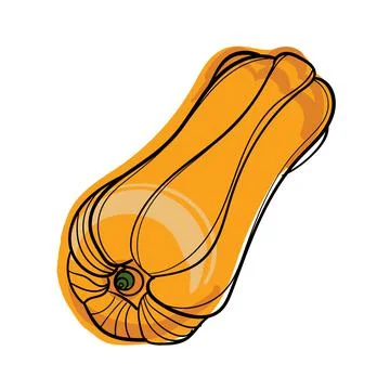 Hand drawn color vector oval pumpkin. Stock Illustration