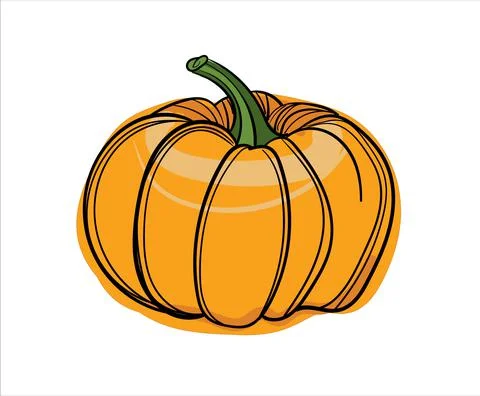 Hand drawn color vector round pumpkin. Stock Illustration