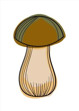 Hand drawn color vector white mushroom. Stock Illustration
